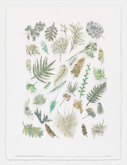 Barton Lidice Benes, ‘Botanical (Leaves and Ferns)’, 2011