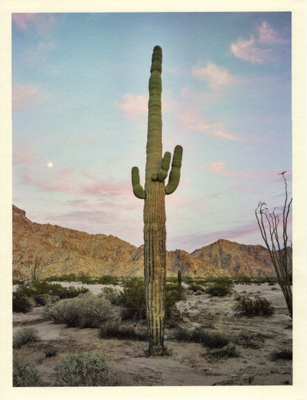 Mark Klett, ‘Color Saguaros series (Saguaro dusk red clouds moon CU Mtns)’, 2020
