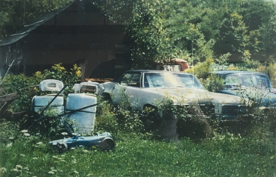 Two Cars in a Field