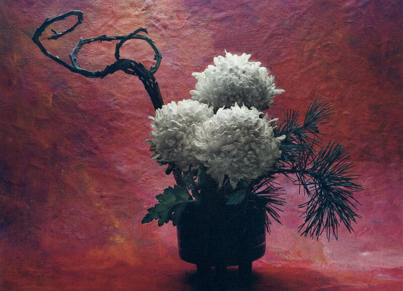 Cy DeCosse, ‘Japanese Chrysanthemum’, Photography, Gum Dichromate, Gallery 270