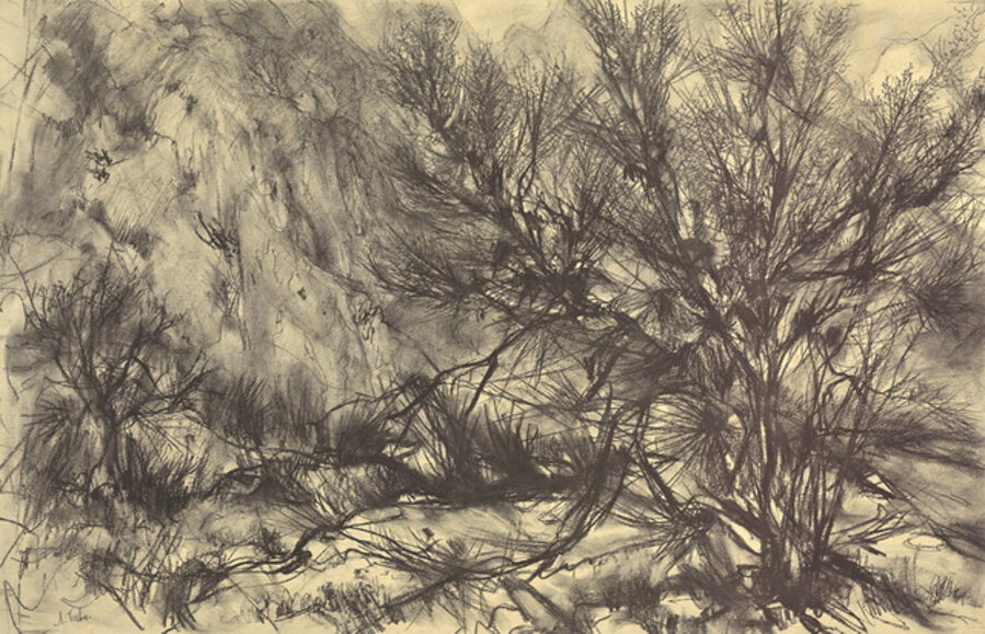 Toned Brush Landscape