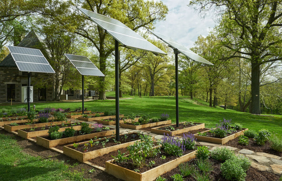 Growing Under Solar Panels