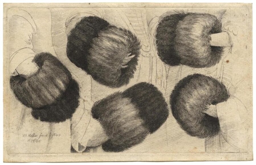 A Muff, seen from five different perspectives