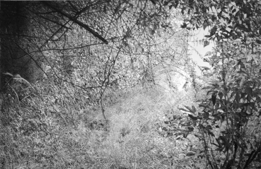 Clearing