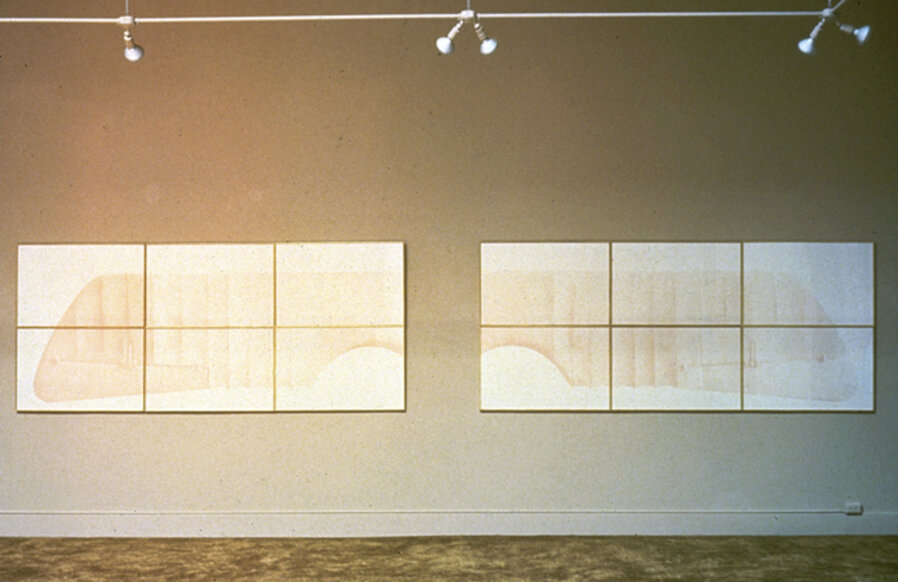 2 Wings For Wall And Person