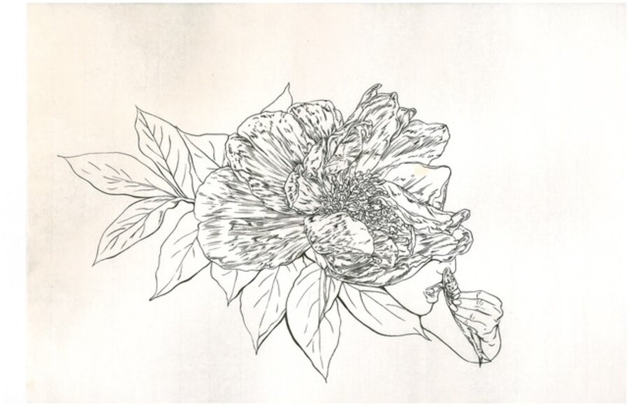 Hunger Flower