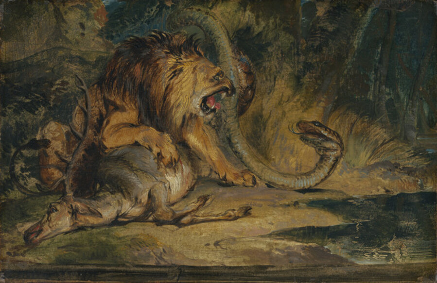 Lion Defending its Prey
