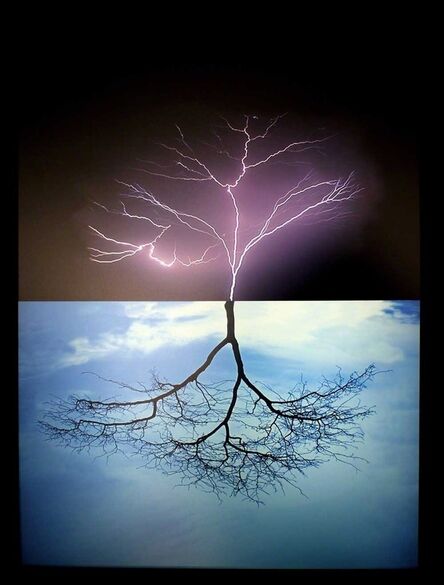 Glenda Leon, ‘Mirages: The birth of a tree’, 2010