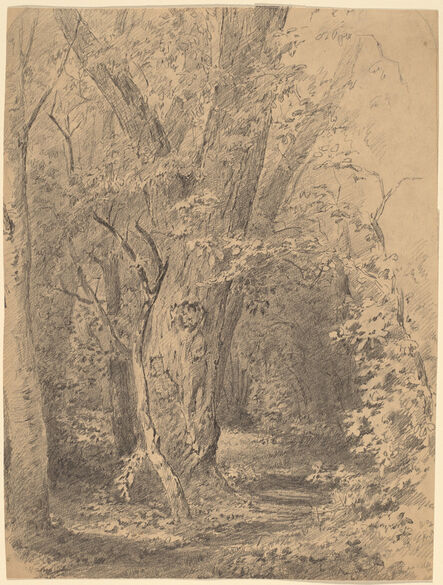 Walter Shirlaw, ‘Tree and Foliage’, probably c. 1873