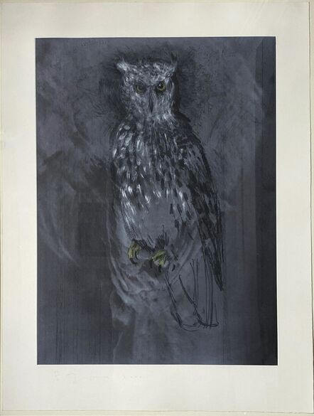 Jim Dine, ‘Great Horned Owl’, 2000