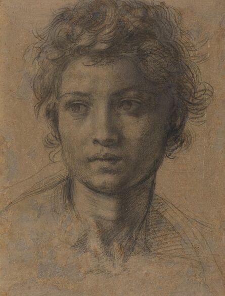 Andrea del Sarto, ‘Head of Saint John the Baptist’, ca. 1523
