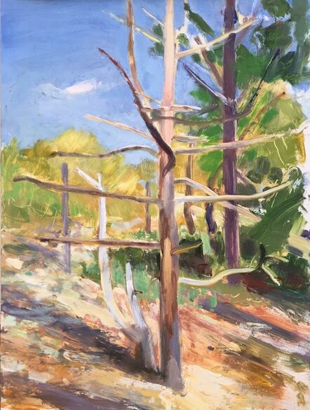 Donald Beal, ‘Dead Pine in Landscape, Cape Cod’, 2020
