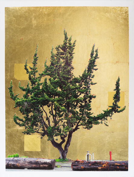 Daniel Ballesteros, ‘Gold Leaf Tree No. 115’, 2019