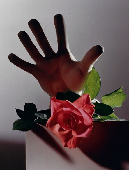 Horst P. Horst, ‘Rose with Cast of Michelangelo Hand’, ca. 1985
