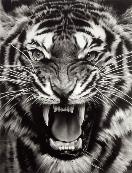 Robert Longo, ‘Untitled (Roaring Tiger Print)’, 2015