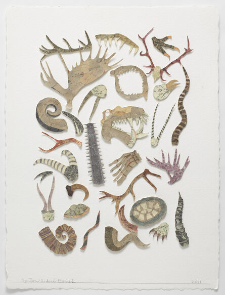 Barton Lidice Benes, ‘Botanica (Horns)’, 2011
