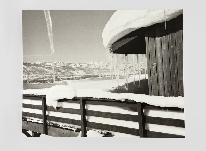 Andy Warhol, ‘Aspen Colorado Landscape’, 1984, Photography, Gelatin silver print, Hedges Projects