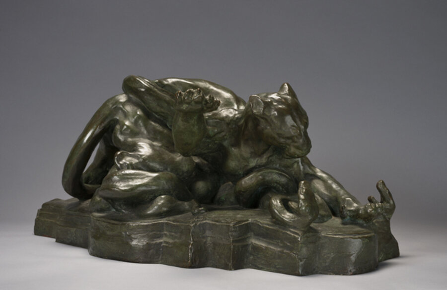 Combat: Puma and Serpents,