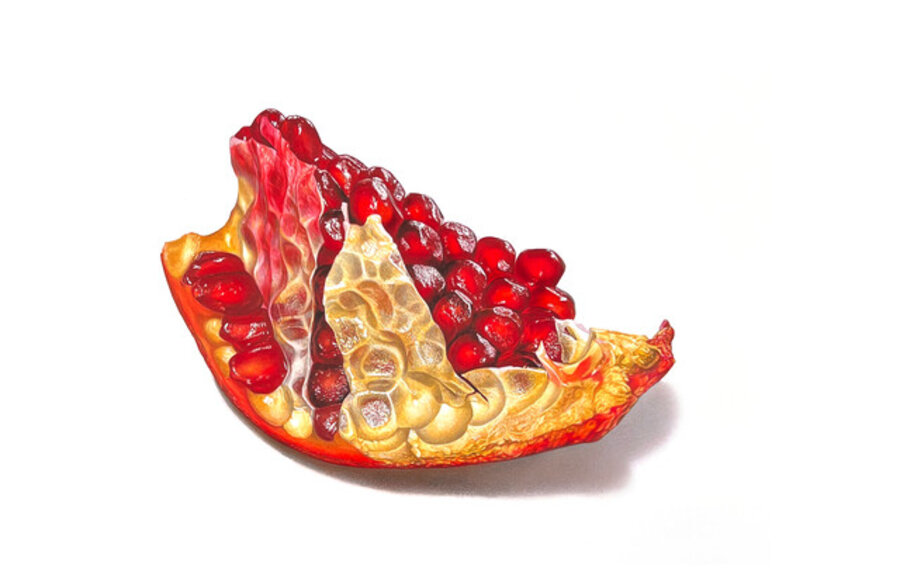Pomegranate Section