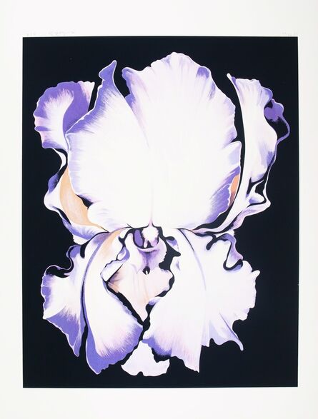 Lowell Nesbitt, ‘White Iris on Black’, 1982