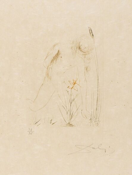 Salvador Dalí, ‘Narcisse (from Quinze Gravures) (M&L 284b; Field 68-4-B)’, 1968