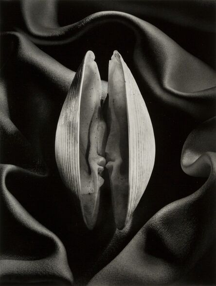Ruth Bernhard, ‘Shell in Silk’, 1939-printed later
