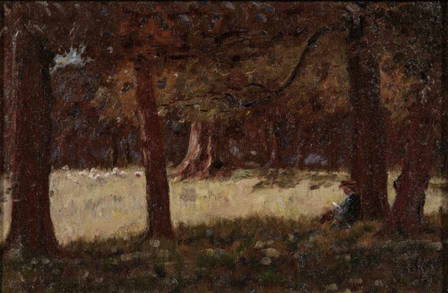 Woman Reading Under a Tree