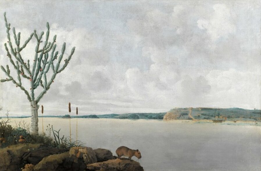 View of the Rio São Francisco Brazil with Fort Maurits en a capibara
