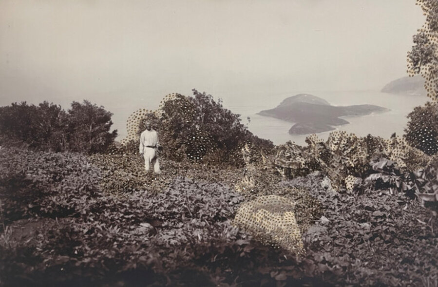 Swarm (011_2024)_between islands