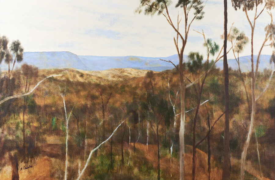 Landscape, Cape York