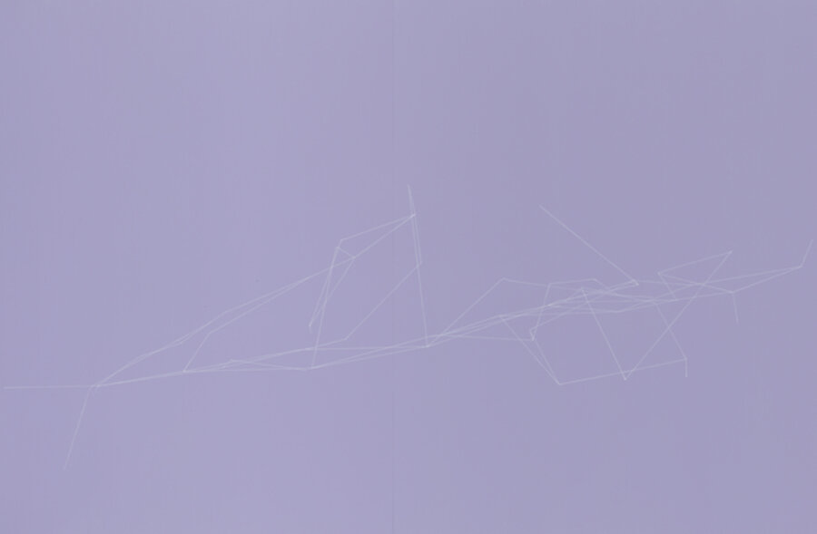 Lavender Shelf as Bird Frame