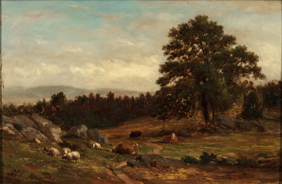 Cows and Sheep in a Rocky Pasture