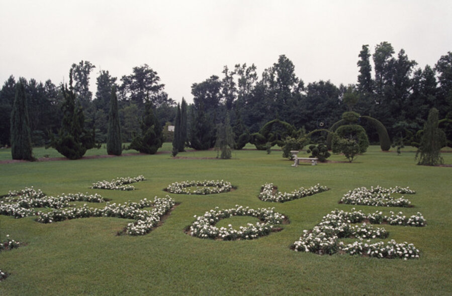 Love and Peace
