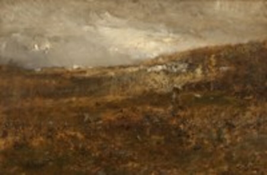 Gray Hills