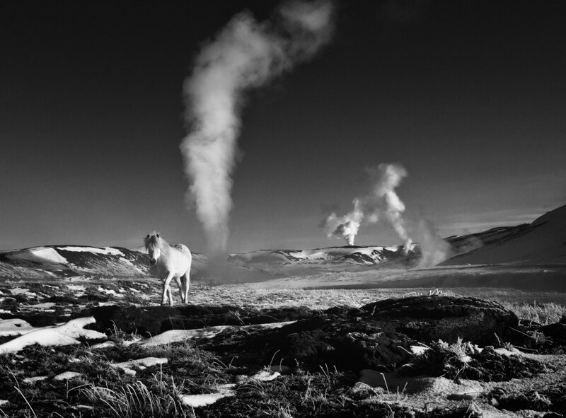 David Yarrow, ‘Lord of the Rings’, 2013, Photography, Archival Pigment Print, CAMERA WORK