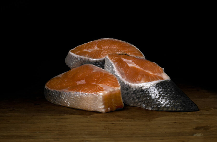Salmon