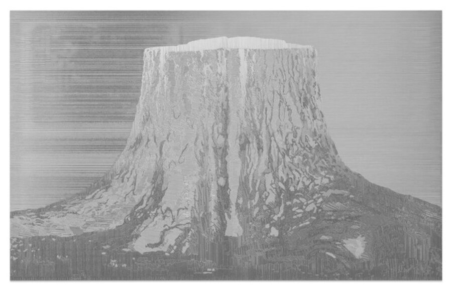 Tree Stump (Oak tree, Böckler Park, Berlin)