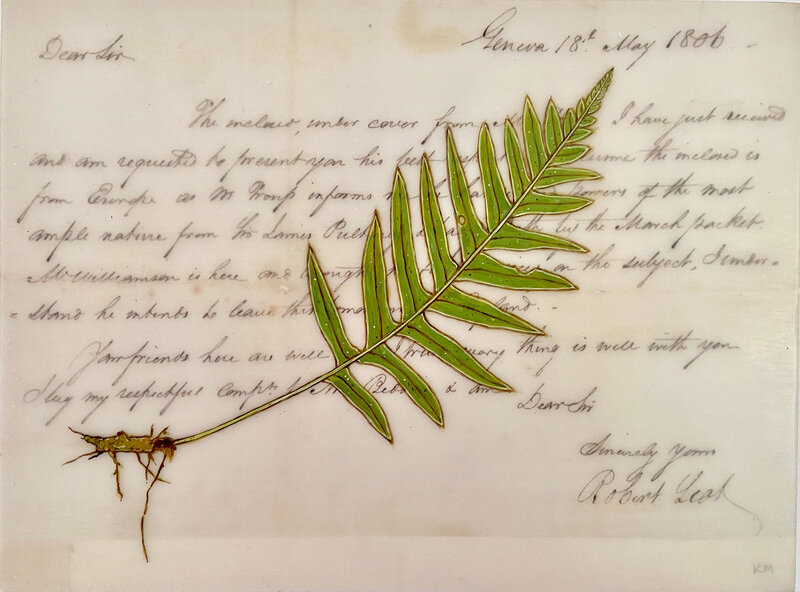 Kenna Moser, ‘Licorice Fern #4’, 2020, Mixed Media, Beeswax, vintage text and oil paint on wood panel, Gail Severn Gallery