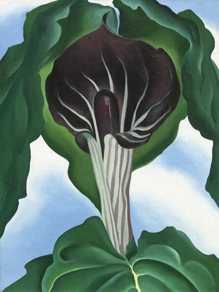 Georgia O’Keeffe, ‘Jack-in-the-Pulpit No.3’, 1930