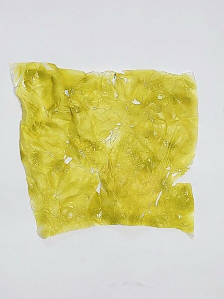 Naomi Middelmann, ‘Yellow mellow’, 2021
