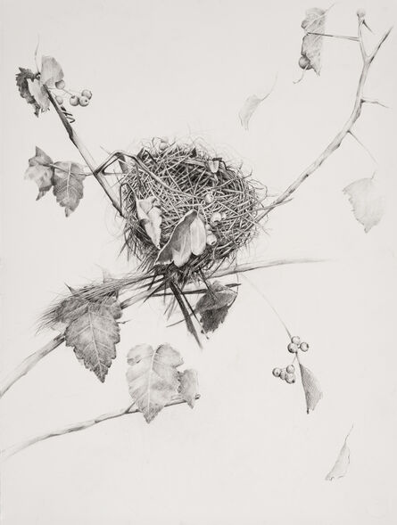Amelia Hankin, ‘Nest with Berries’, 2020