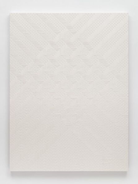 Tauba Auerbach, ‘Weave/Weave I’, 2011
