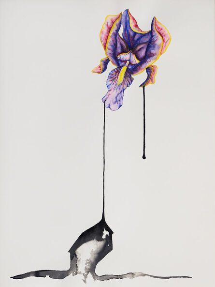Grace Schwindt, ‘Orchid’, 2020