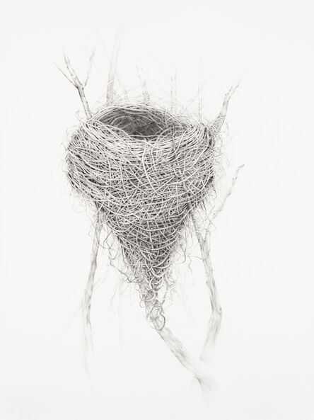 Amelia Hankin, ‘ Nest in Tree’, 2020