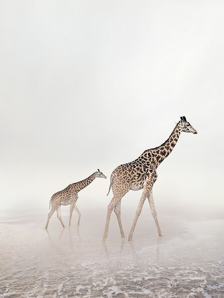 Alice Zilberberg, ‘Go Giraffe’, 2019