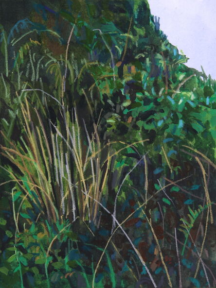 Claire Sherman, ‘GRASS AND FERNS’, N/A