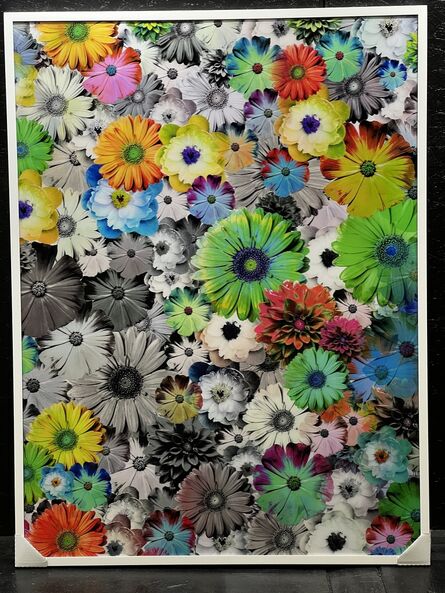 bruce jefferies reinfeld, ‘Disco Daisies   - color to black and white’, 2019