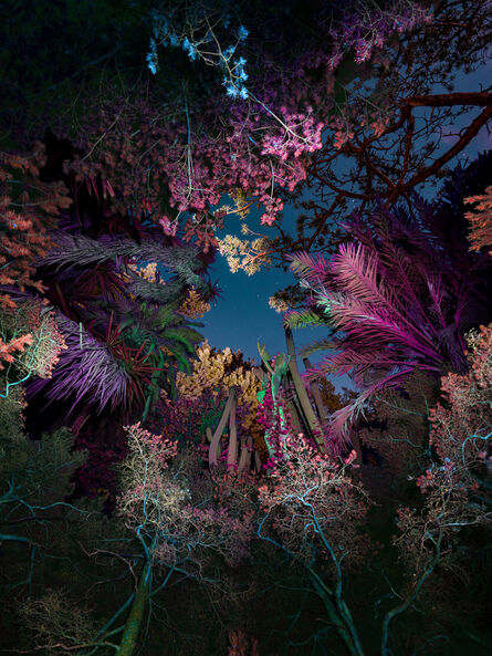 Linda Westin, ‘Illuminated Dendrology - Entropic Jungle’, 2020