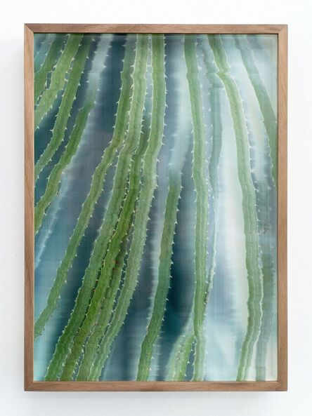 Adrien Missika, ‘Botanical Frottage - Pilar ’, 2017