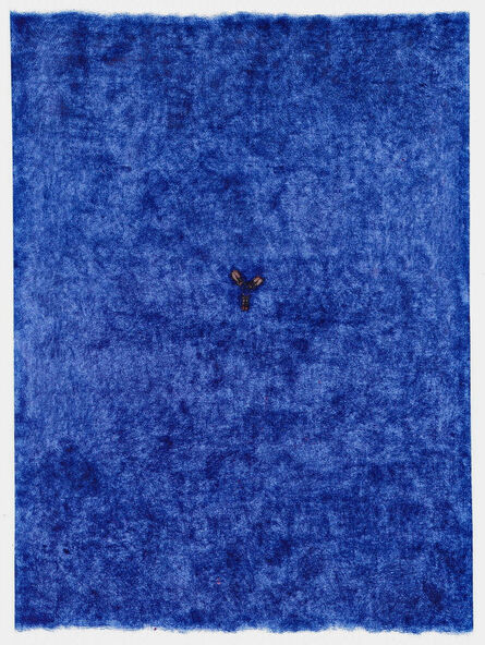Jan Fabre, ‘A Battle In the Hour Blue’, 1989